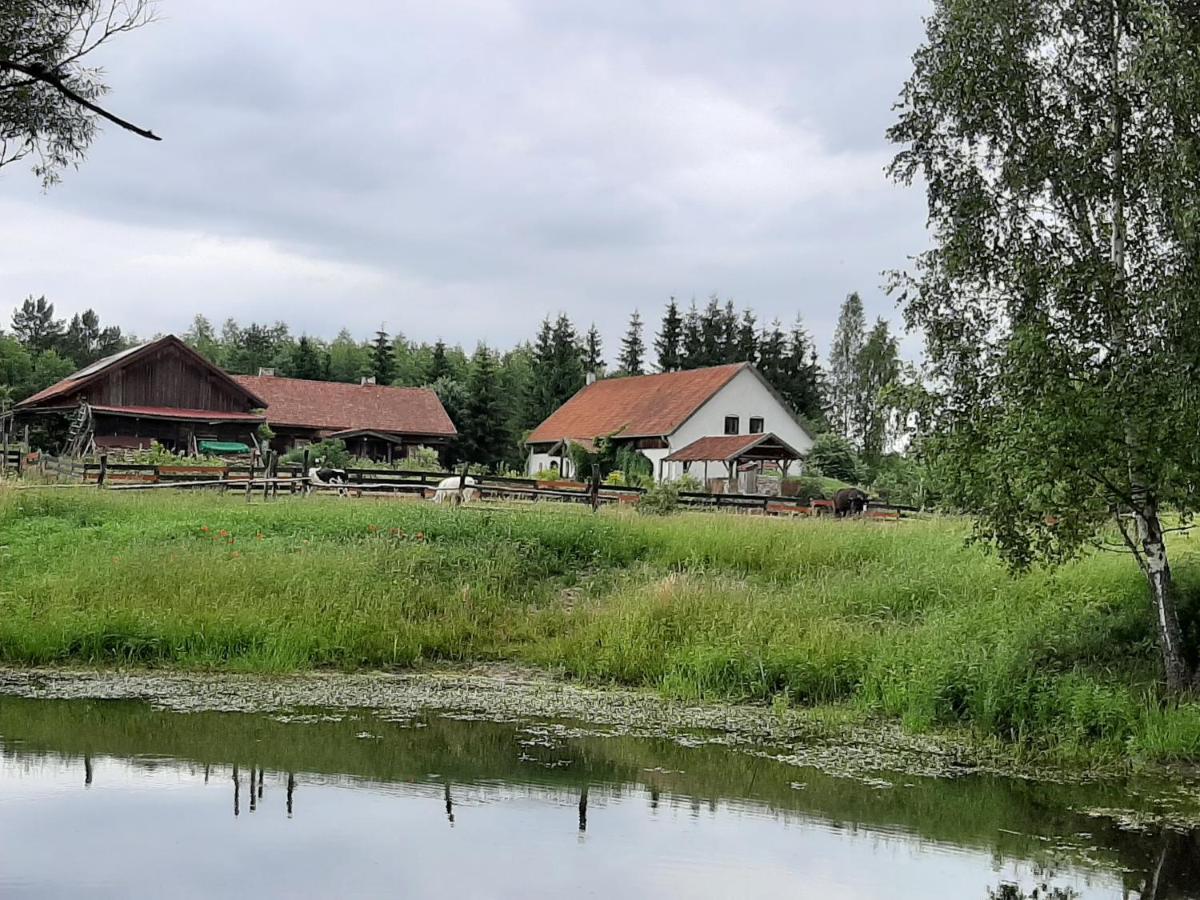 Jablkowo-Na Skraju Puszczy Boreckiej Sniadania W Cenie Jablonowo