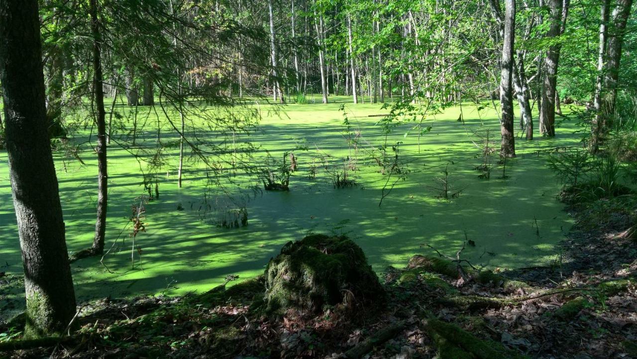 Gospodarstwo agroturystyczne Jabłkowo- Na Skraju Puszczy Boreckiej Jablonowo